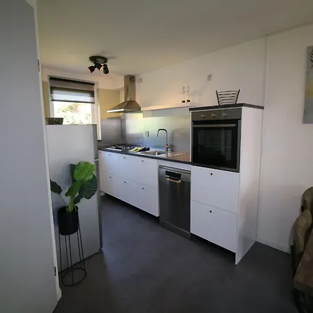 Nice House With Large Garden In Noordwijk And Near The Sea-2